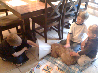 The post from recovery