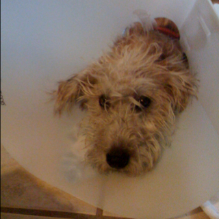 The post from recovery