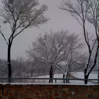 The post from our very own winter wonderland