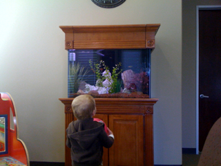 The post from the allergist