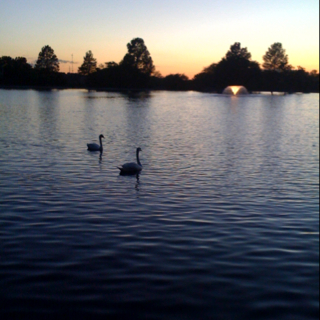 Date Night with Caleb