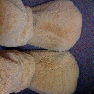 The post from my life as a dog