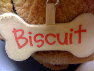 The post from my life as a dog