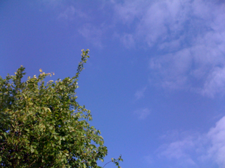 The post from the grass