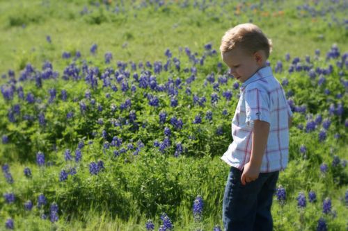 Samuelbluebonnets3