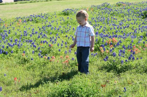 Samuelbluebonnets4