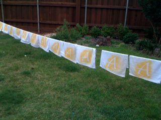 The post from my paint project