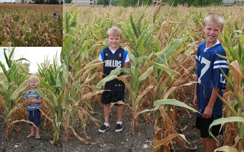 2010-07-21 2010-07-21