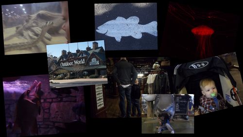 Caleb's Pics and Videos